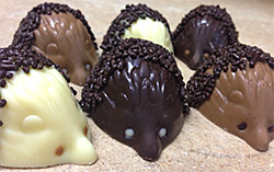 Stafford's Chocolate Hedgehogs