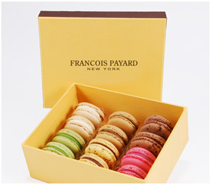 Francois Payard 9-Piece Chocolate Collection