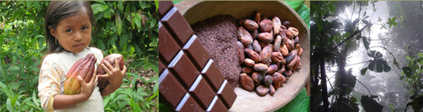 Kallari Chocolate